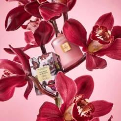 Radiance In Bloom 380g Candle