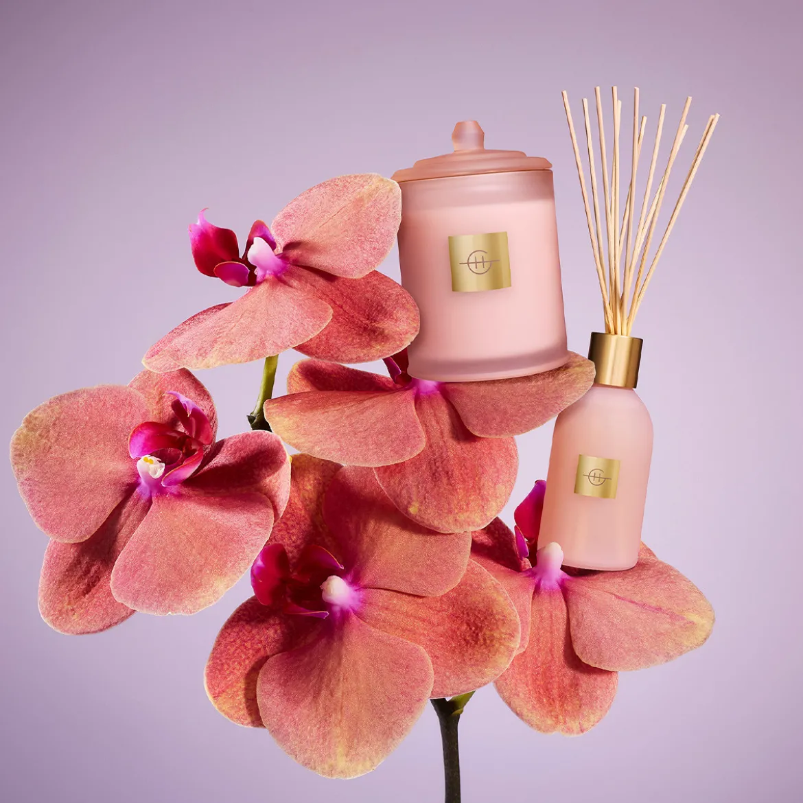 Radiance In Bloom 380g Candle