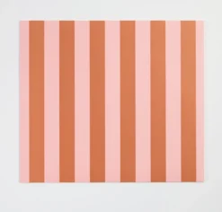 Stripe Paper Placemat 24 Pack