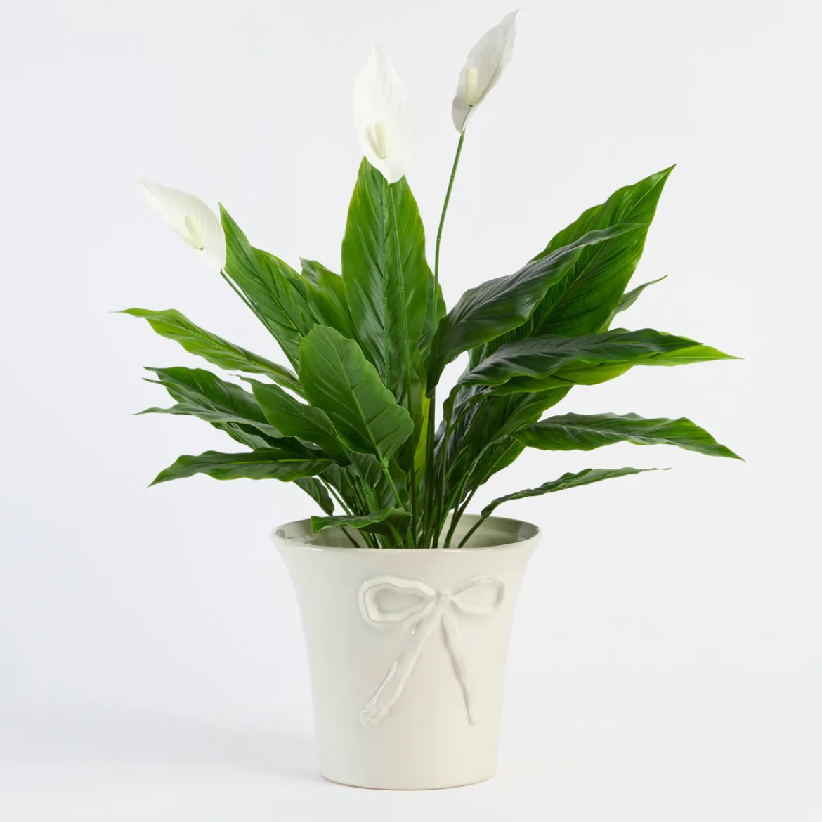 Sweet Bow Planter