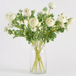 Wild Ranunculus Stem