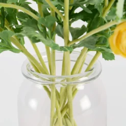 Wild Ranunculus Stem