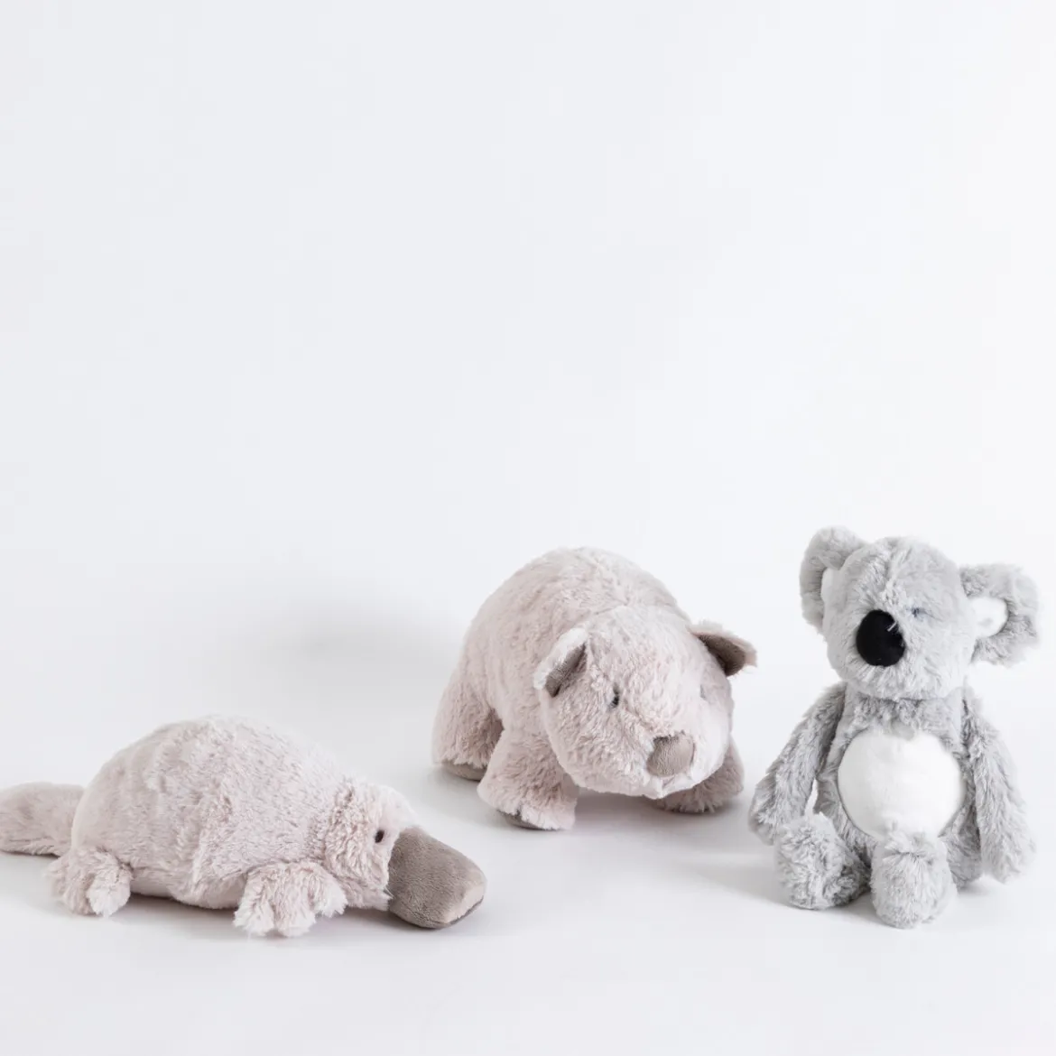 Wilfred the Wombat Plush Toy